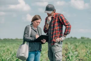 contabilidad agricola