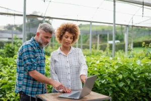 contabilidad agricola